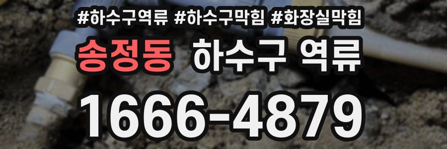 송정동 하수구 역류