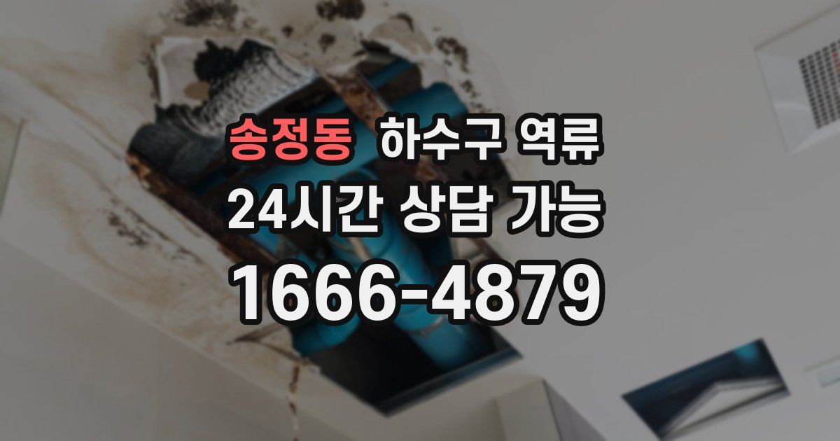 송정동 하수구 역류