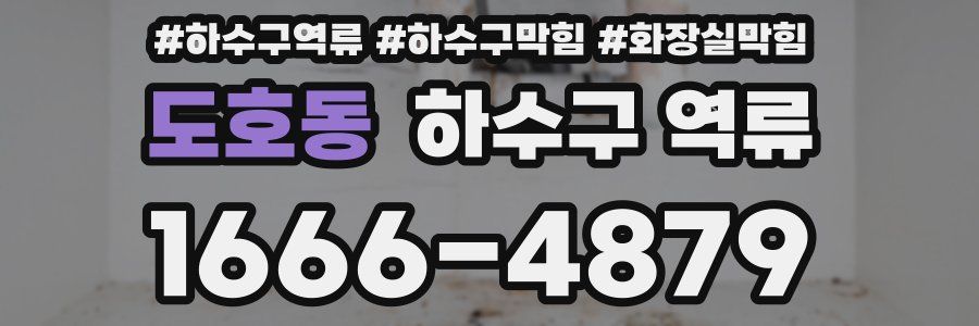 도호동 하수구 역류