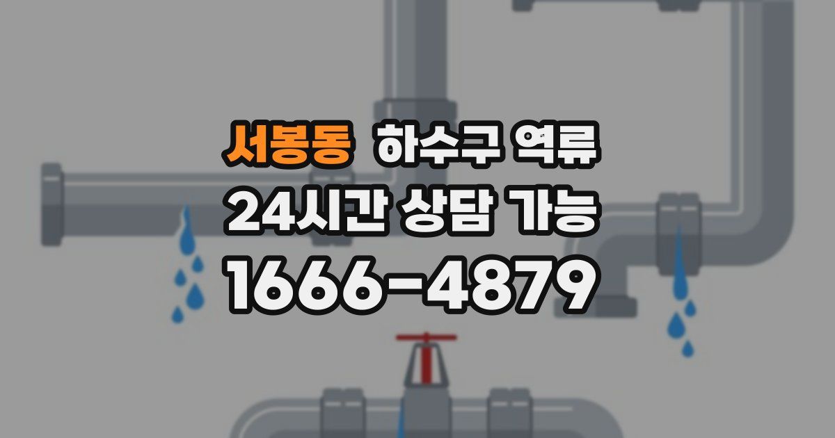 서봉동 하수구 역류