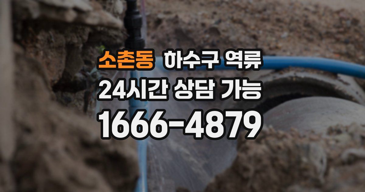 소촌동 하수구 역류