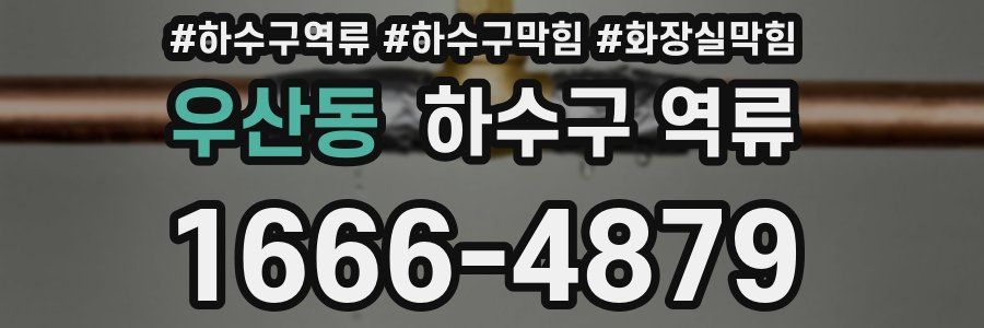 우산동 하수구 역류