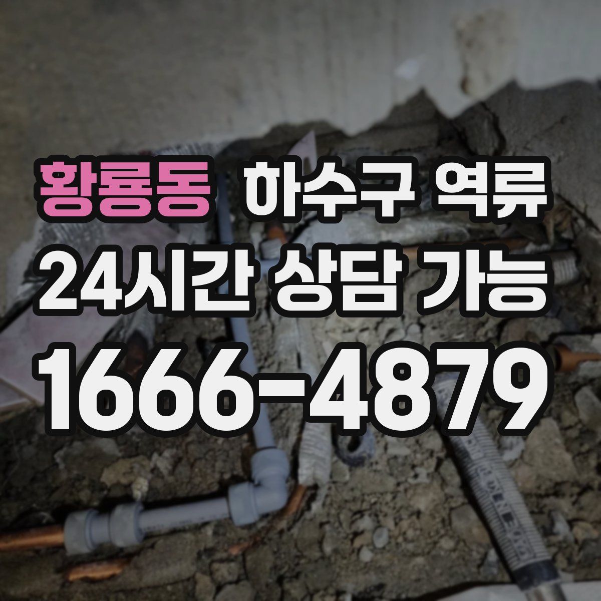 황룡동 하수구 역류