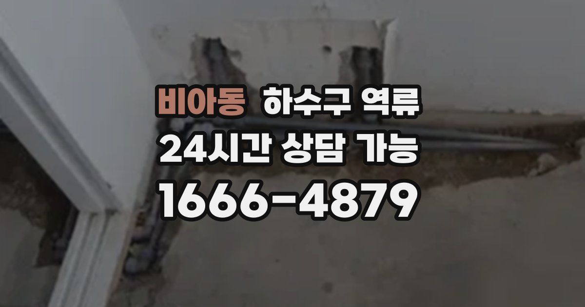 비아동 하수구 역류