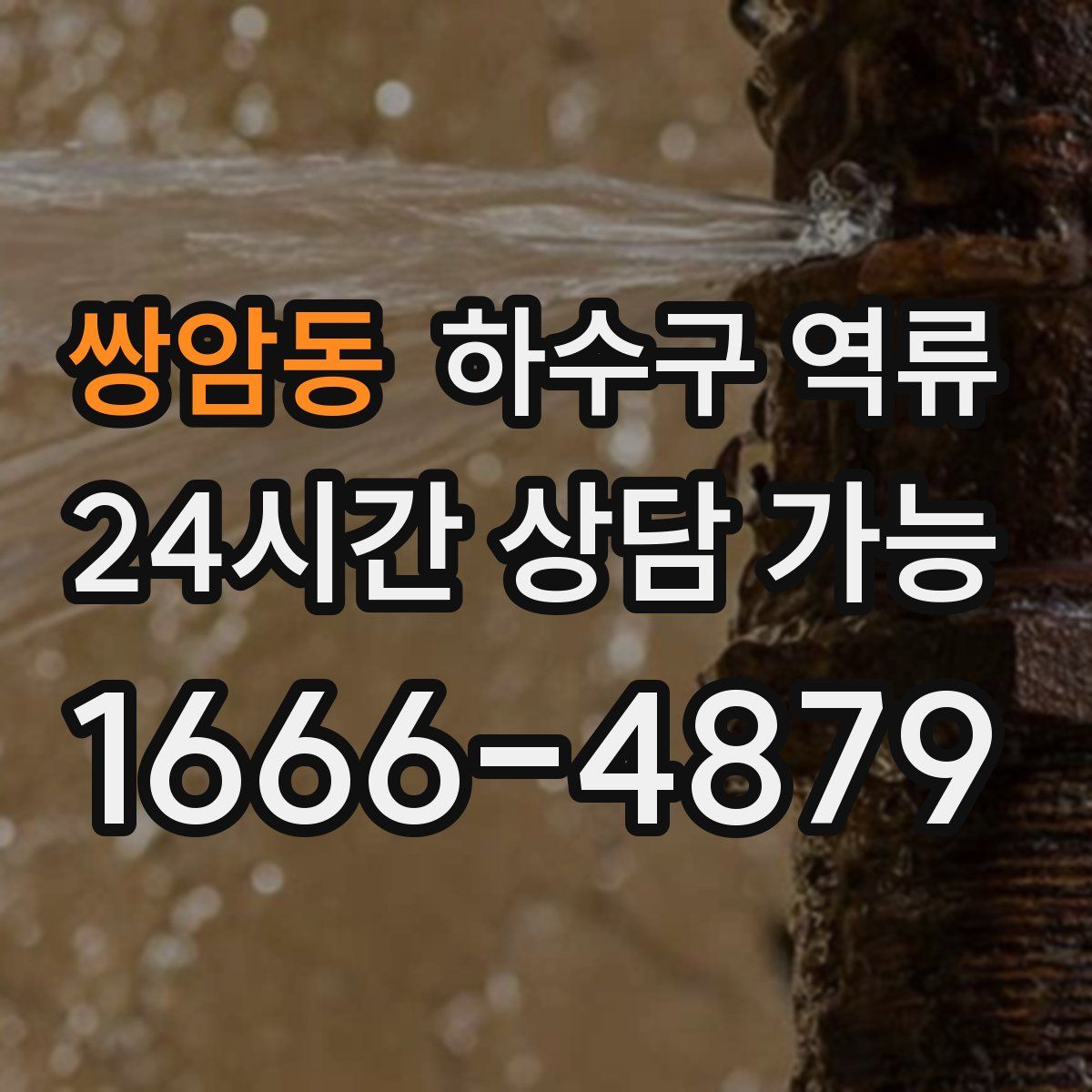 쌍암동 하수구 역류