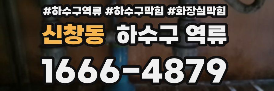 신창동 하수구 역류