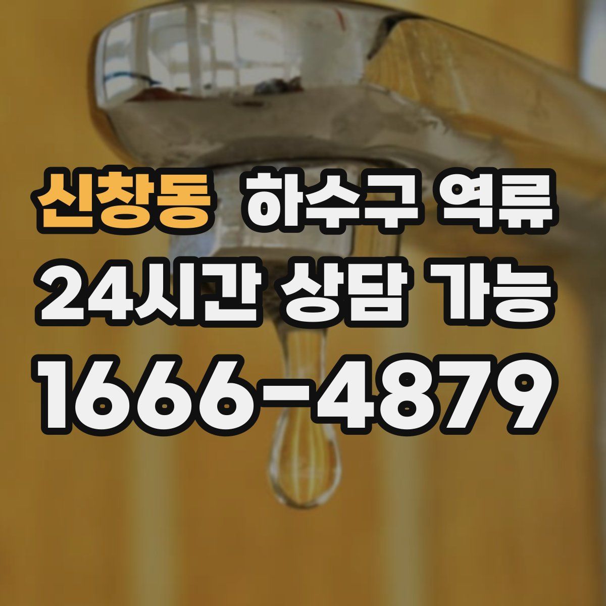 신창동 하수구 역류