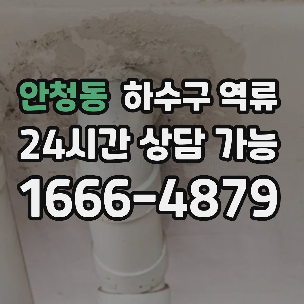 안청동 하수구 역류