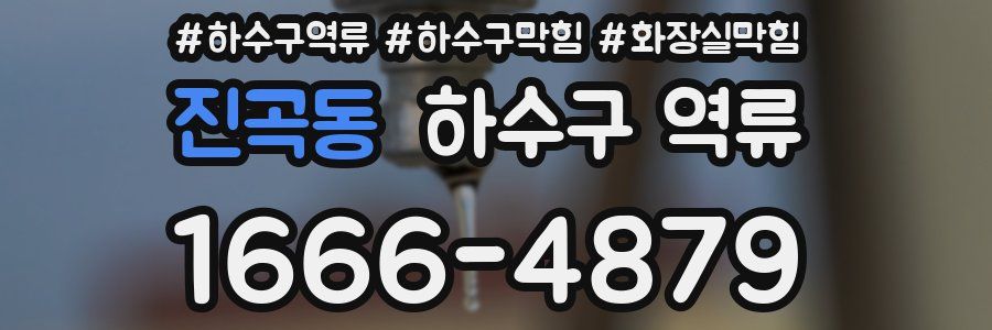 진곡동 하수구 역류