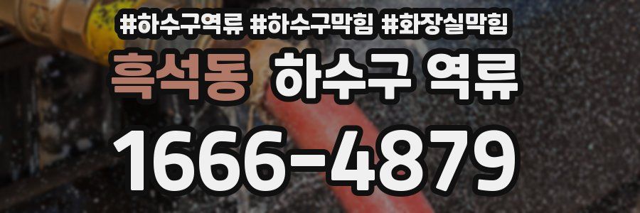 흑석동 하수구 역류