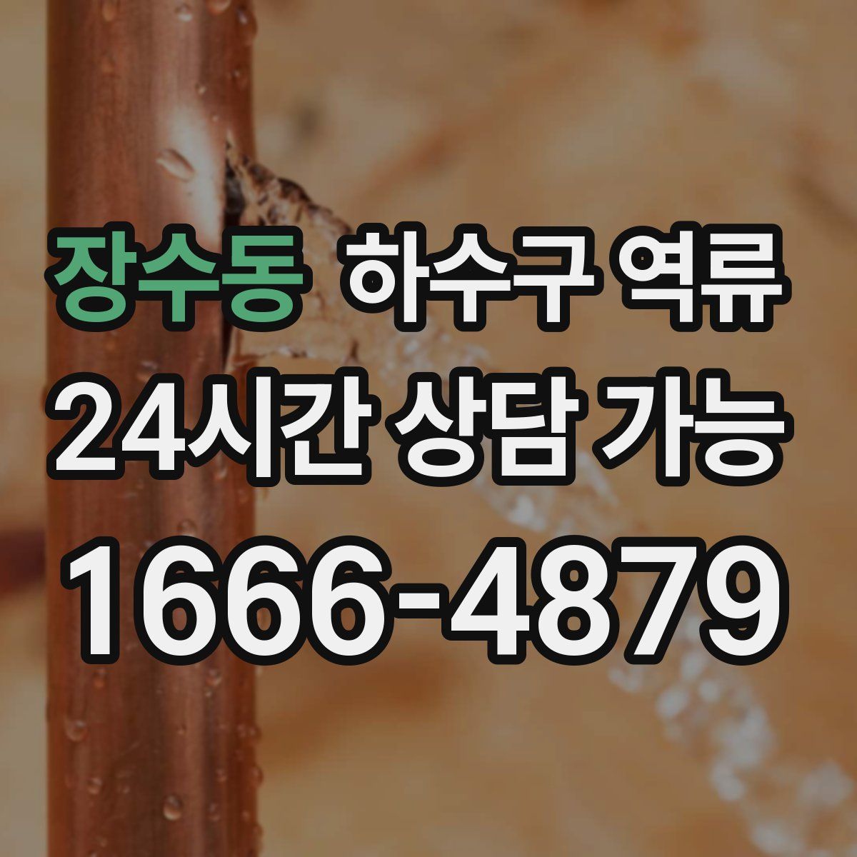 장수동 하수구 역류