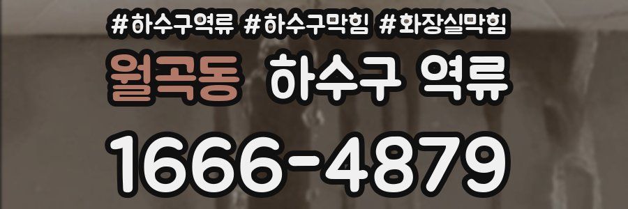 월곡동 하수구 역류