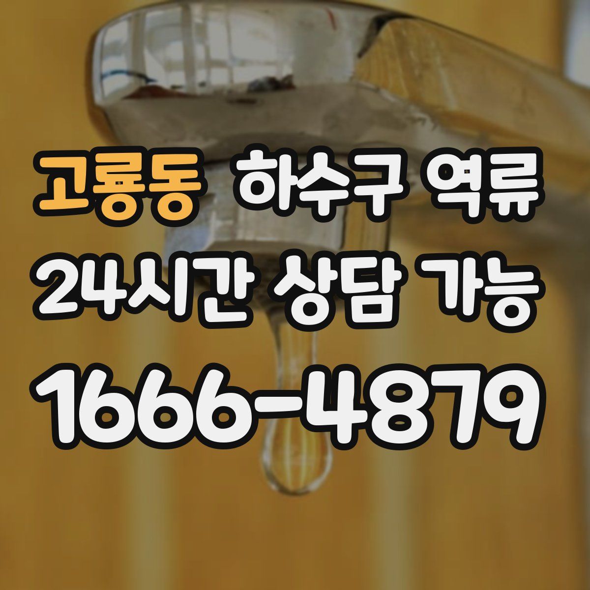 고룡동 하수구 역류