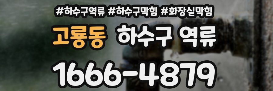 고룡동 하수구 역류