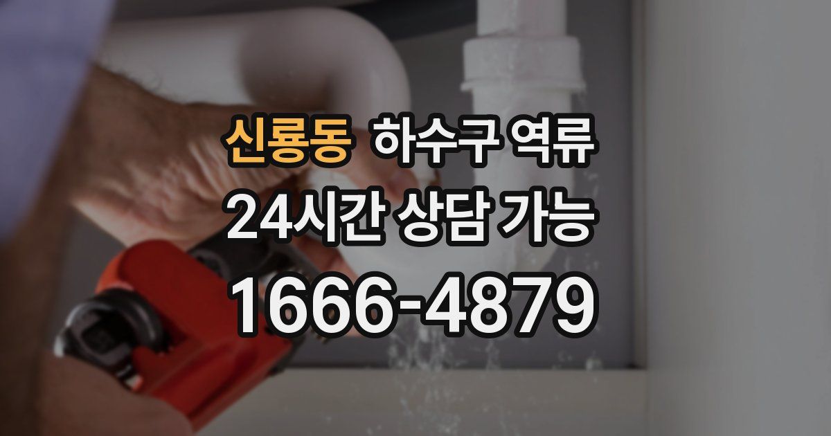 신룡동 하수구 역류