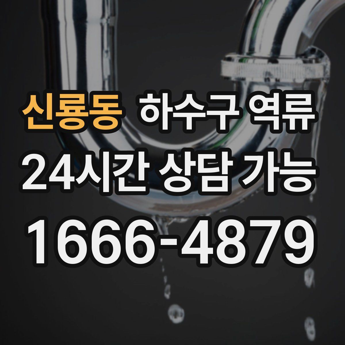 신룡동 하수구 역류