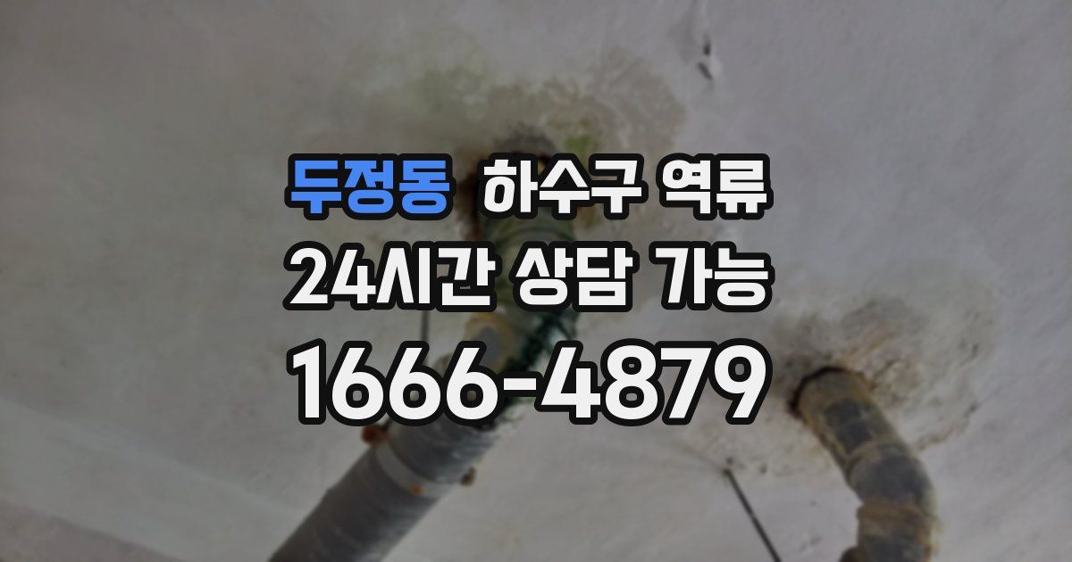 두정동 하수구 역류