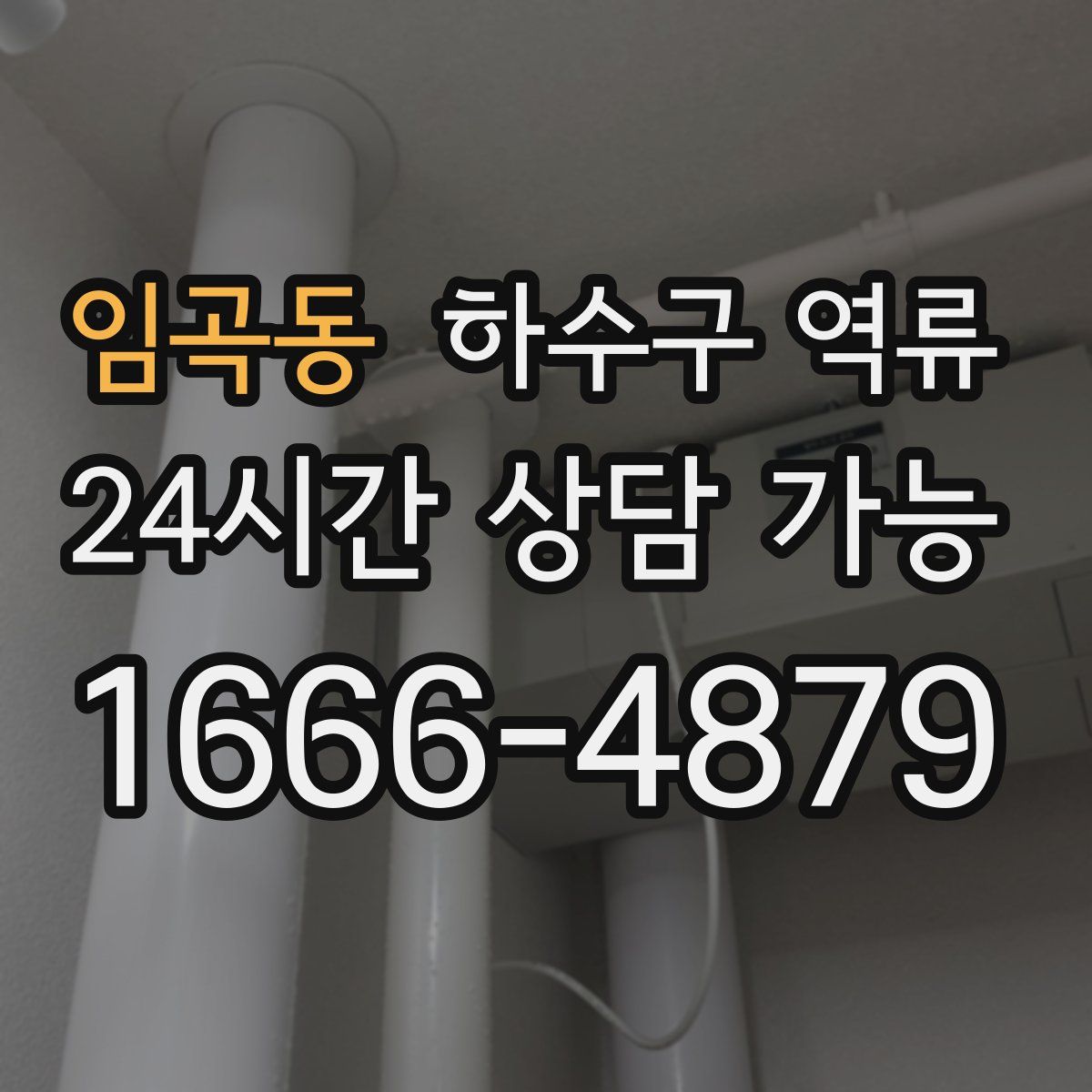 임곡동 하수구 역류