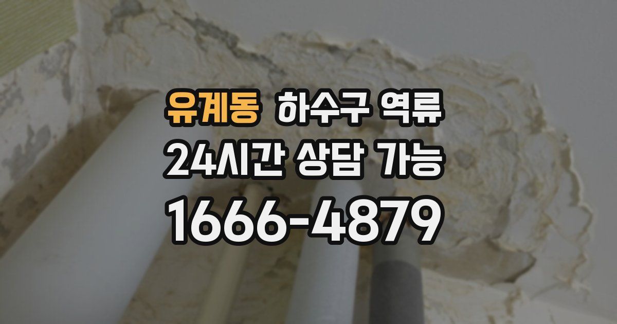 유계동 하수구 역류