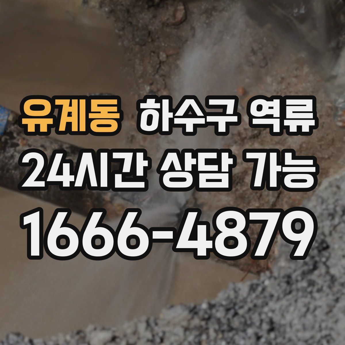 유계동 하수구 역류