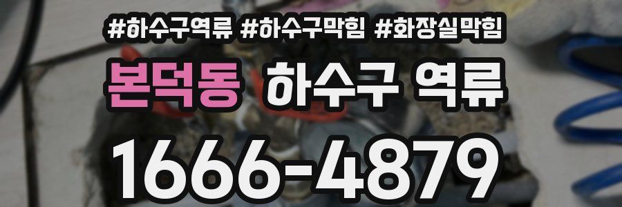 본덕동 하수구 역류