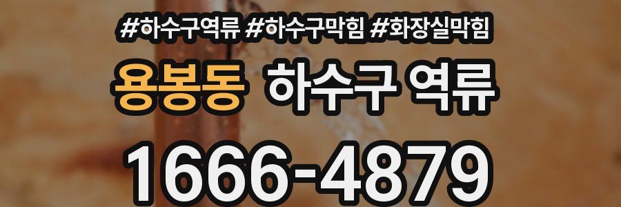 용봉동 하수구 역류