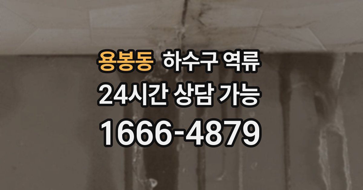 용봉동 하수구 역류