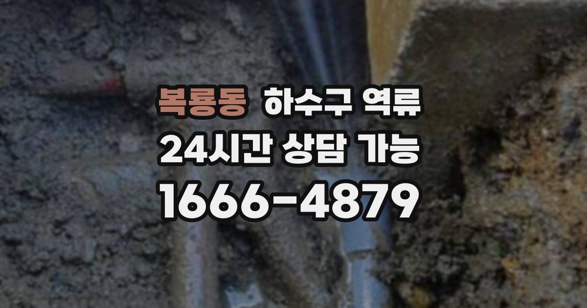 복룡동 하수구 역류