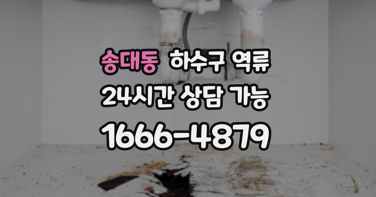 송대동 하수구 역류