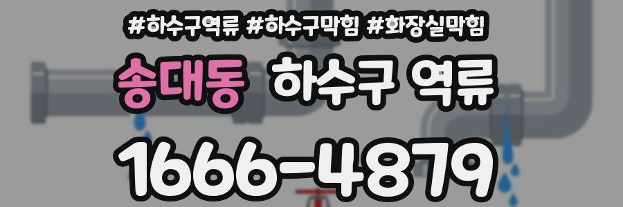 송대동 하수구 역류