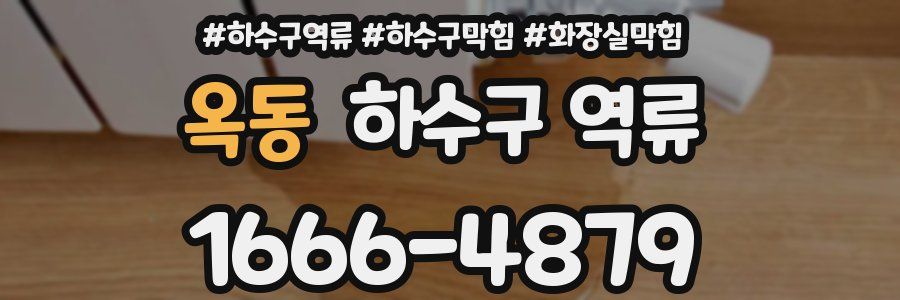 옥동 하수구 역류