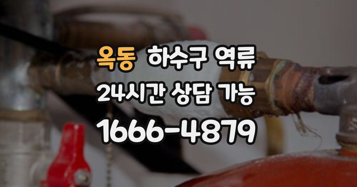 옥동 하수구 역류