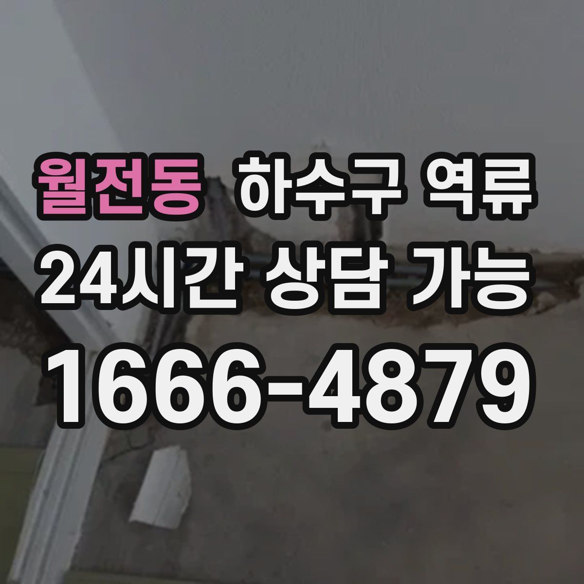 월전동 하수구 역류