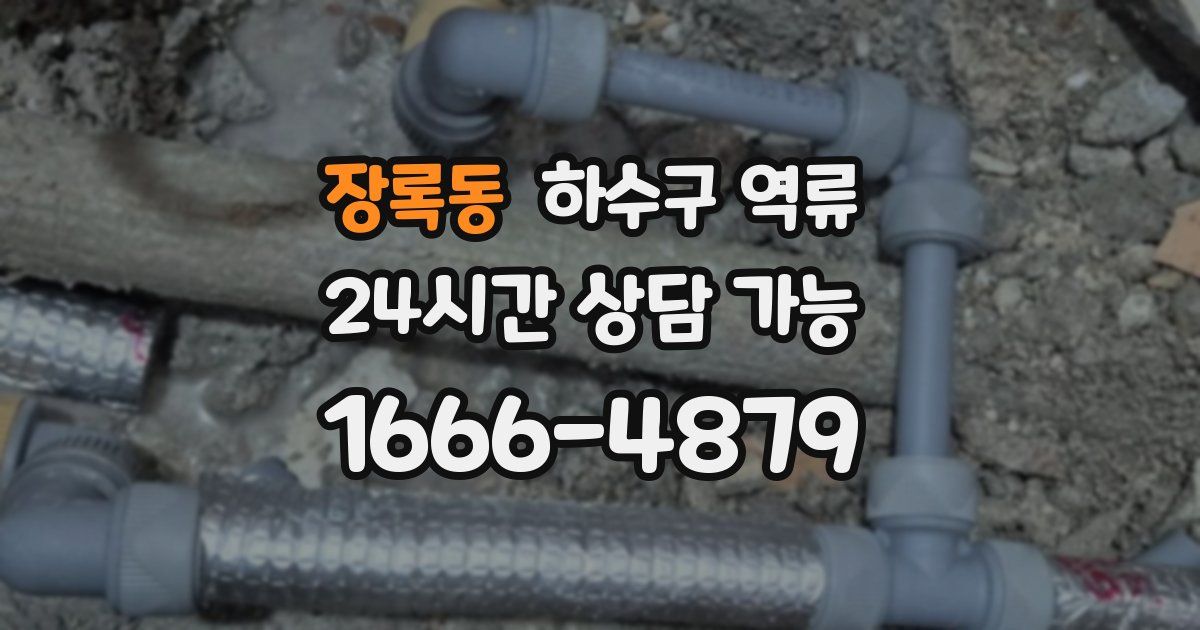 장록동 하수구 역류