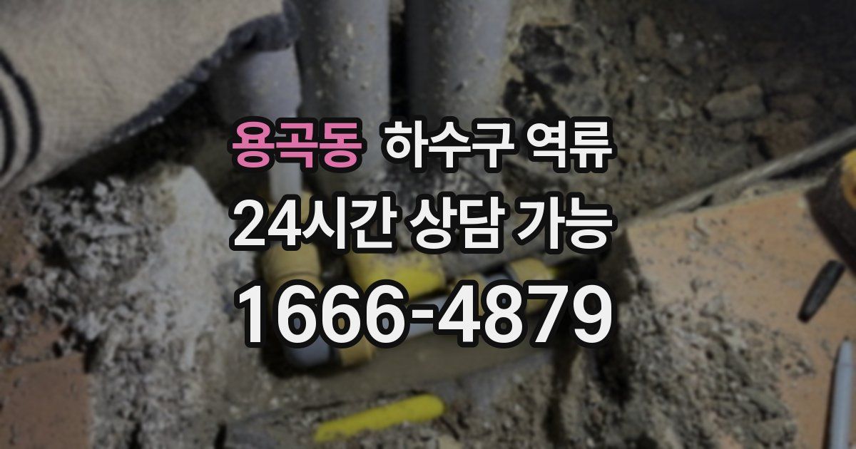 용곡동 하수구 역류