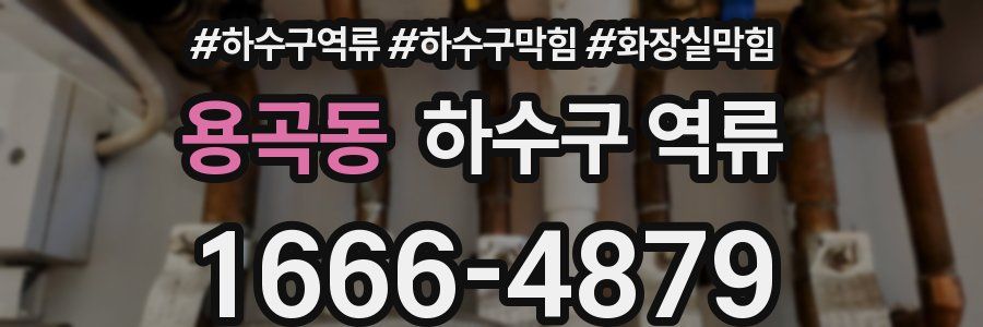 용곡동 하수구 역류