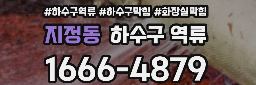 지정동 하수구 역류