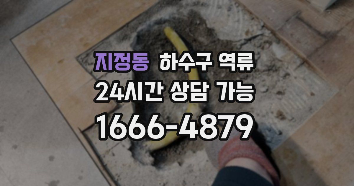 지정동 하수구 역류