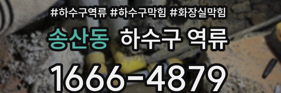 송산동 하수구 역류
