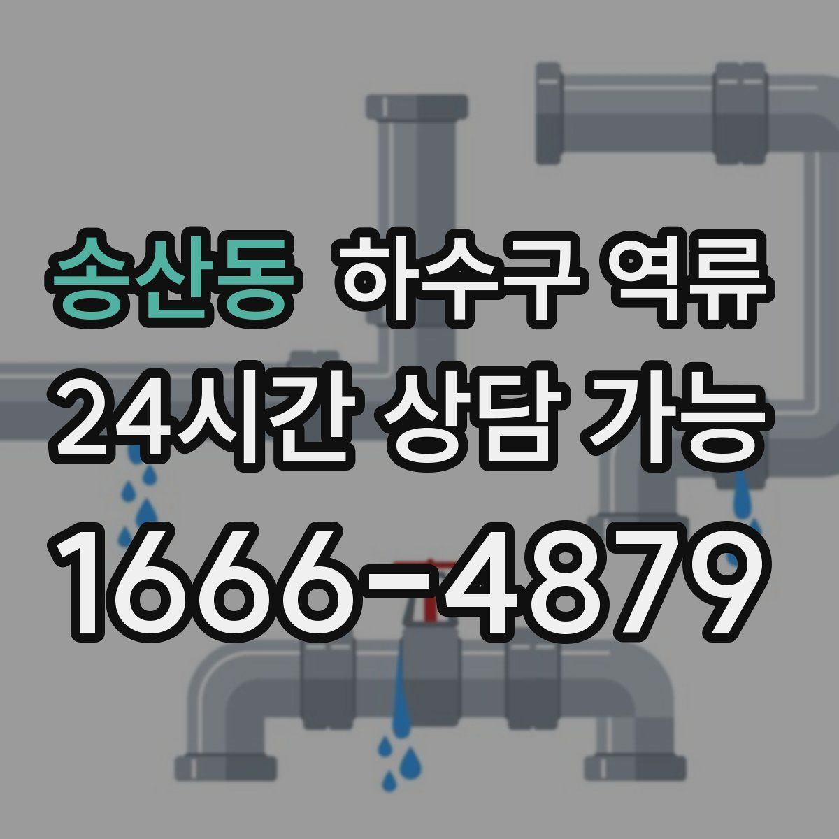 송산동 하수구 역류