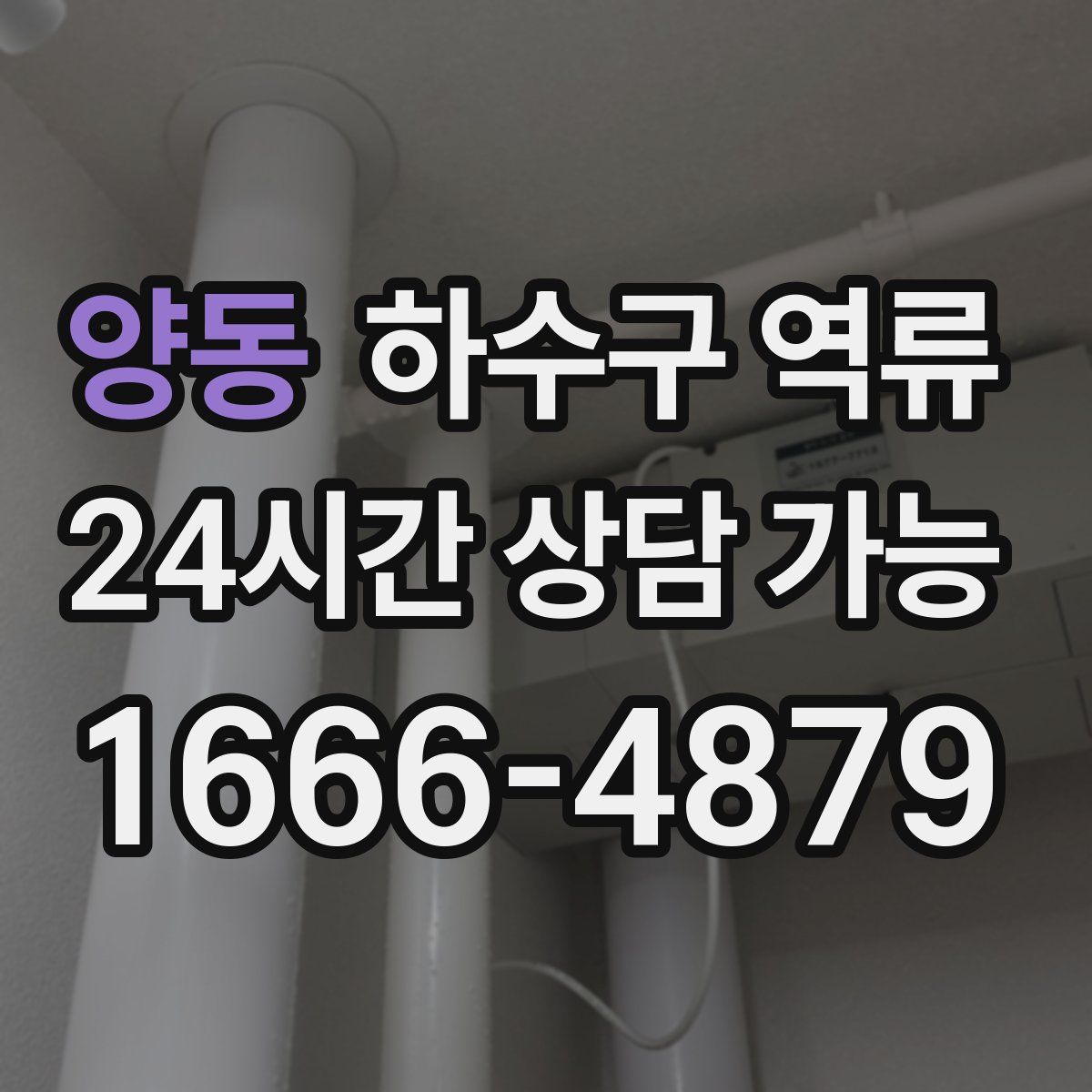 양동 하수구 역류