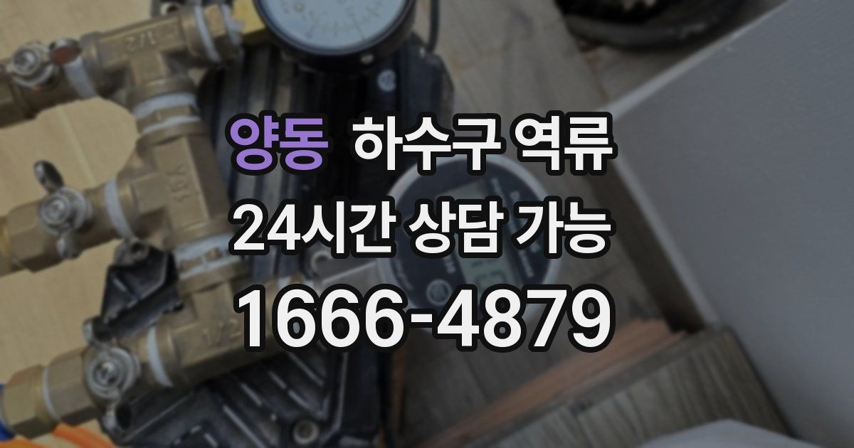 양동 하수구 역류