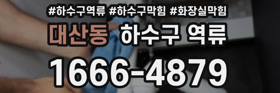 대산동 하수구 역류