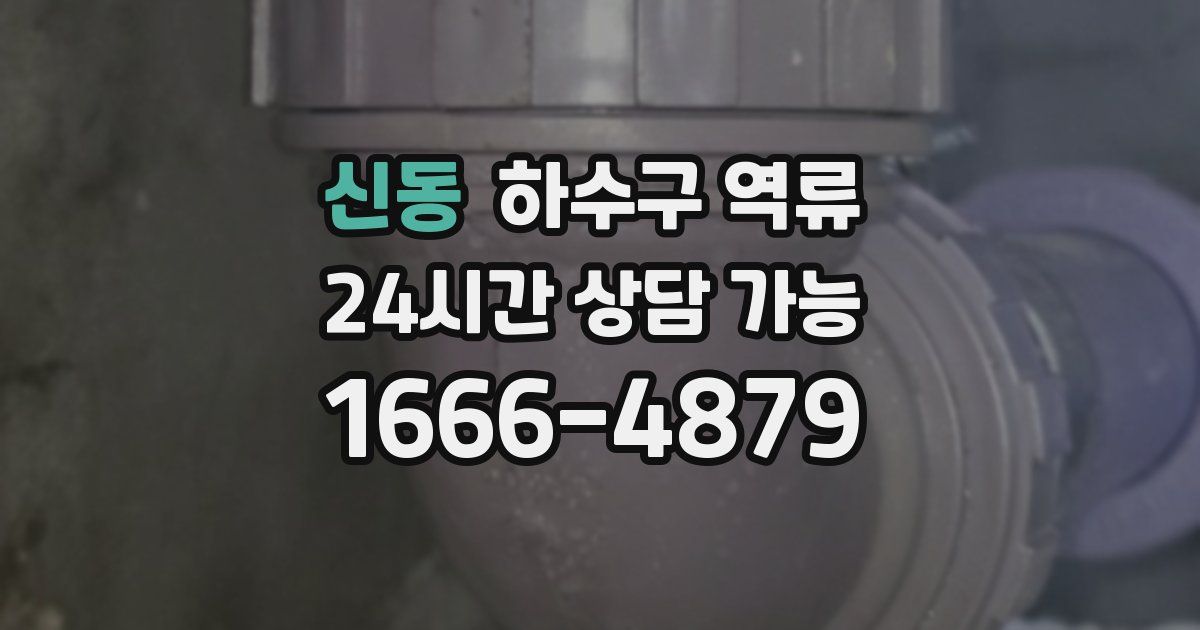 신동 하수구 역류