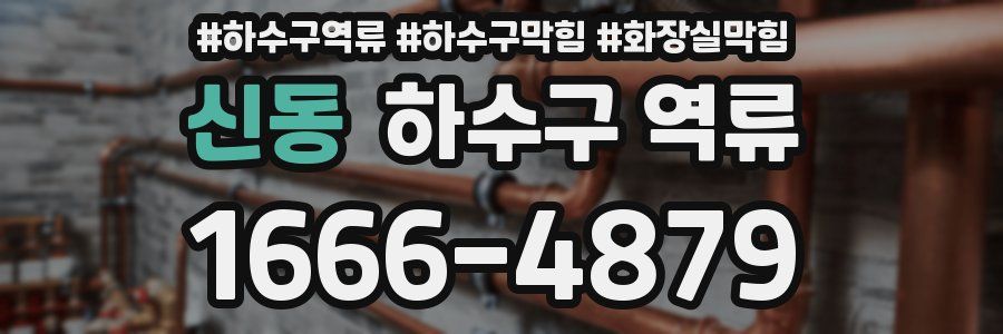 신동 하수구 역류