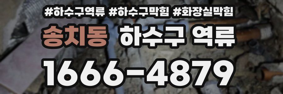 송치동 하수구 역류