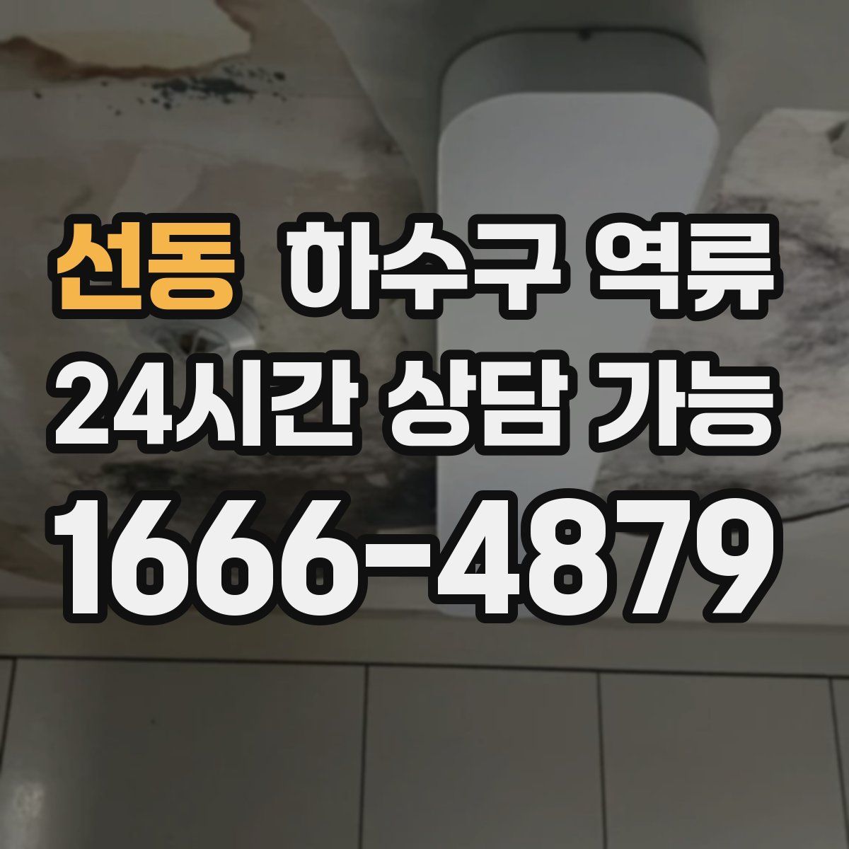 선동 하수구 역류