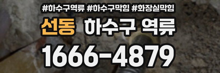 선동 하수구 역류