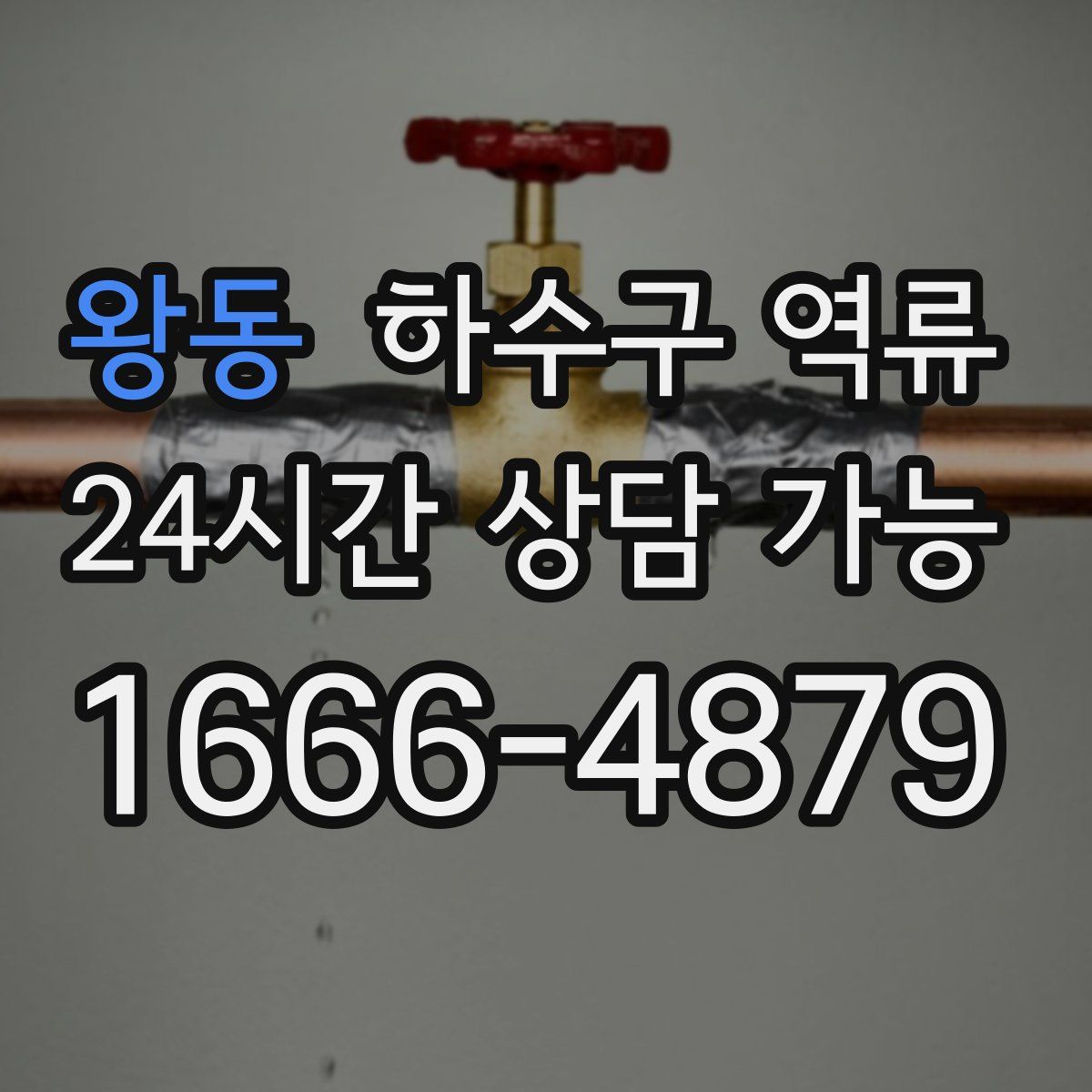 왕동 하수구 역류