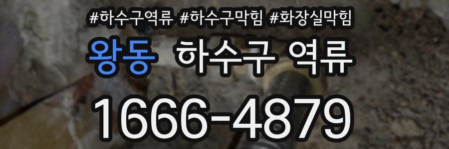 왕동 하수구 역류